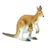 Kangaroo With Joey - 100108