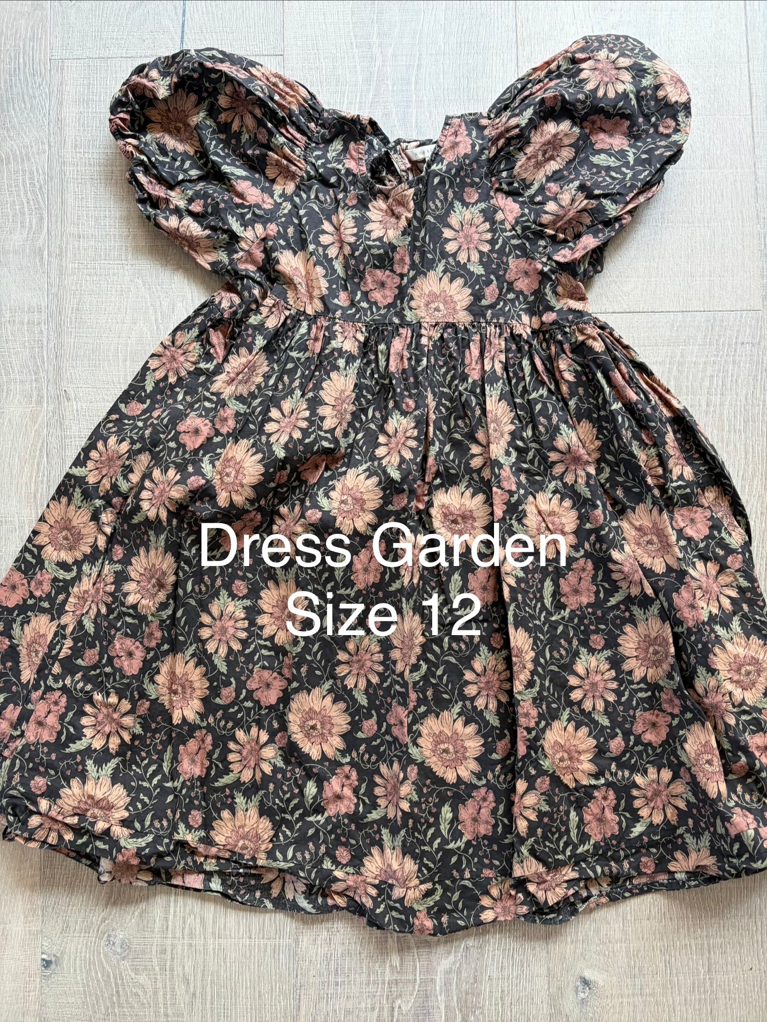 Noralee Dress Garden Size 12