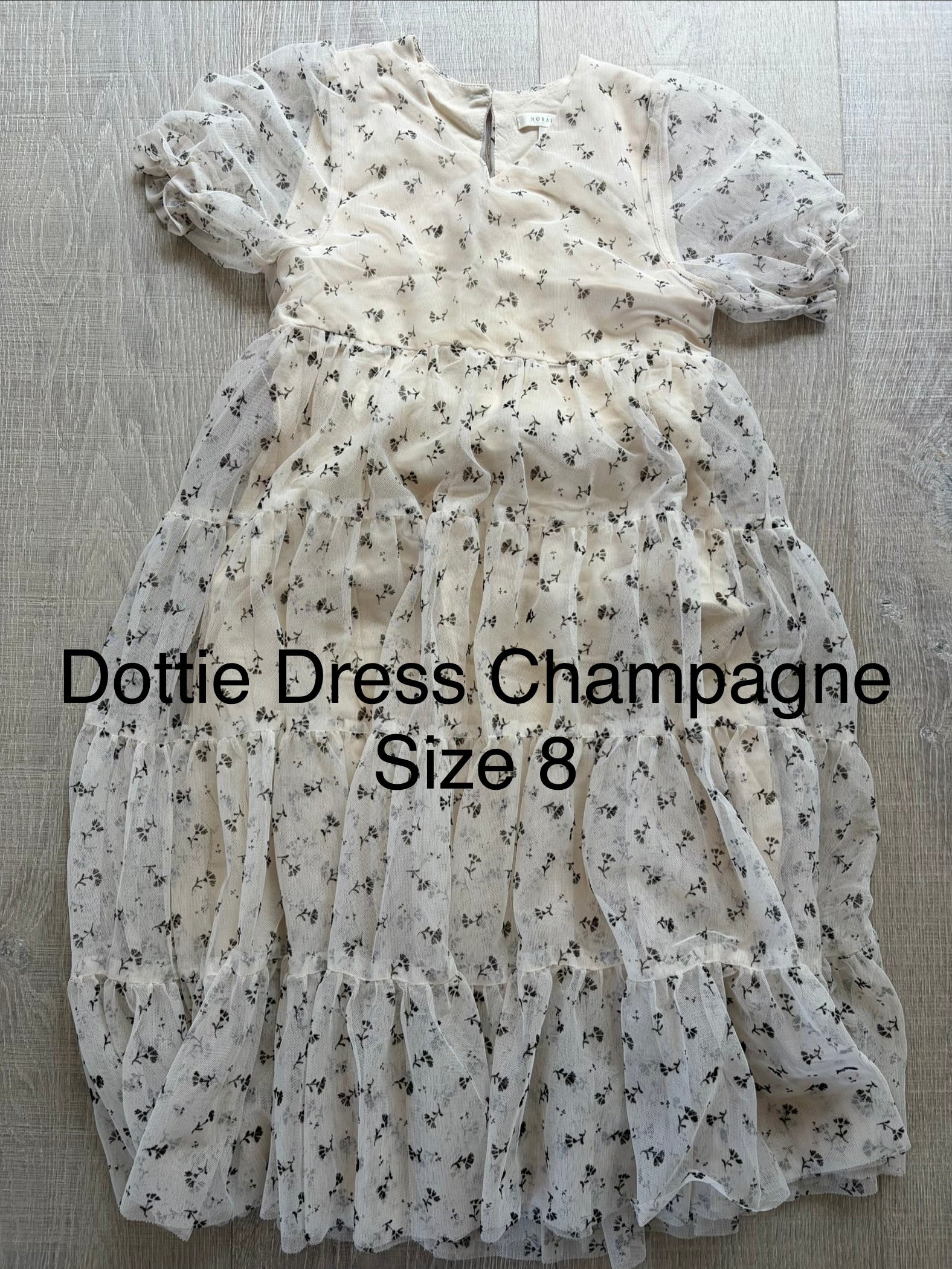 Noralee Dottie Dress Champagne Size 8