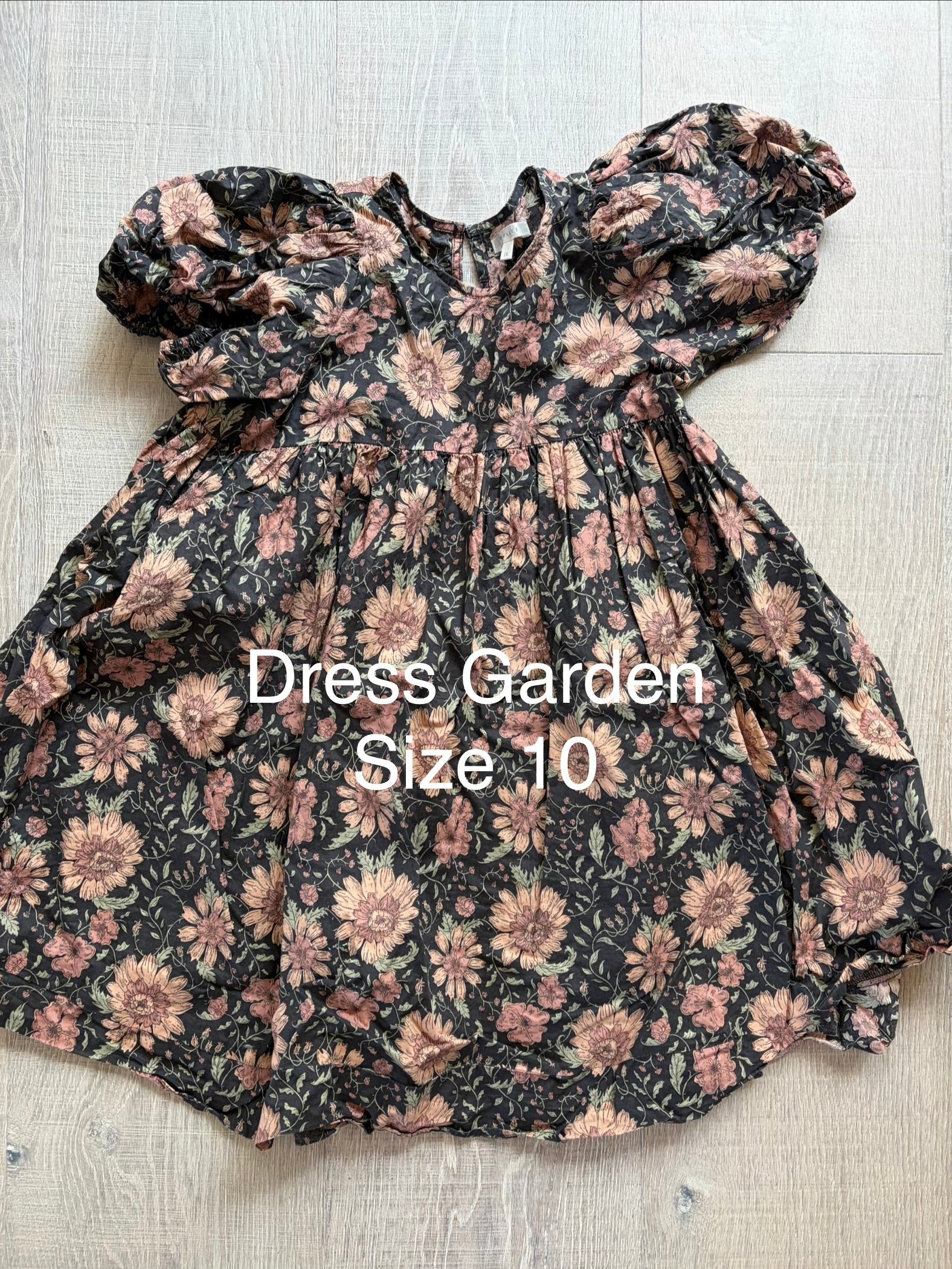 Noralee Dress Garden Size 10
