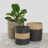 Black/Natural Plant Basket