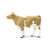 Guernsey Cow - 162029