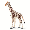 Giraffe - 100421