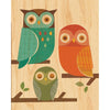 Print on Wood Owl Trio 11"x14" Matted